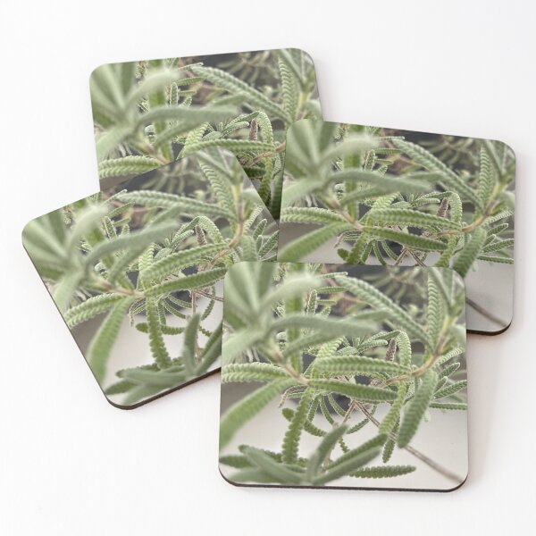Item preview, 888 Lavender Photograph designed and sold by Warehouse888.