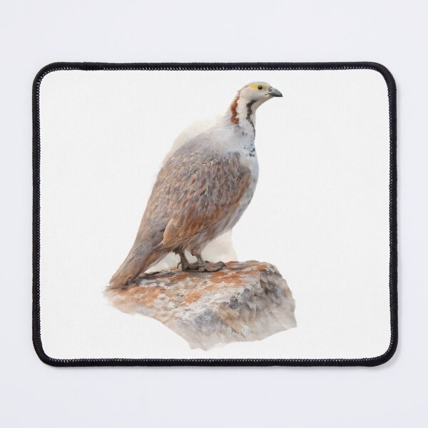 Item preview, Himalayan Snowcock designed and sold by HOMETOWN86.