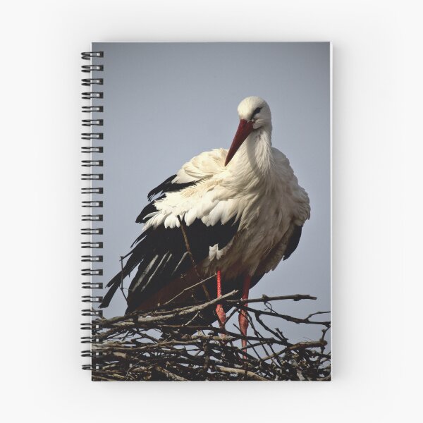 Item preview, Frozen reality - Beautiful nature 672 designed and sold by deep-sea-birds.