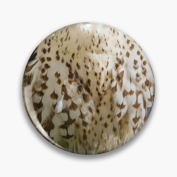 Item preview, Close-Up Portrait Of A Perched Falcon On Artificial Grass Stand At Outdoor Raptor Display designed and sold by Nmallia.