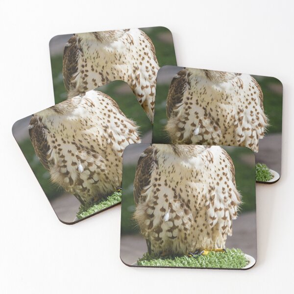Item preview, Close-Up Portrait Of A Perched Falcon On Artificial Grass Stand At Outdoor Raptor Display designed and sold by Nmallia.