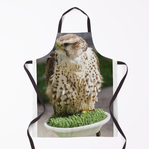 Item preview, Close-Up Portrait Of A Perched Falcon On Artificial Grass Stand At Outdoor Raptor Display designed and sold by Nmallia.