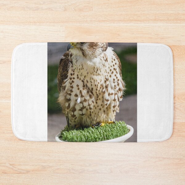 Item preview, Close-Up Portrait Of A Perched Falcon On Artificial Grass Stand At Outdoor Raptor Display designed and sold by Nmallia.