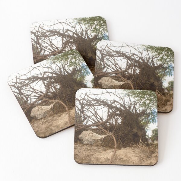 Item preview, tree roots designed and sold by felipequeiroz.