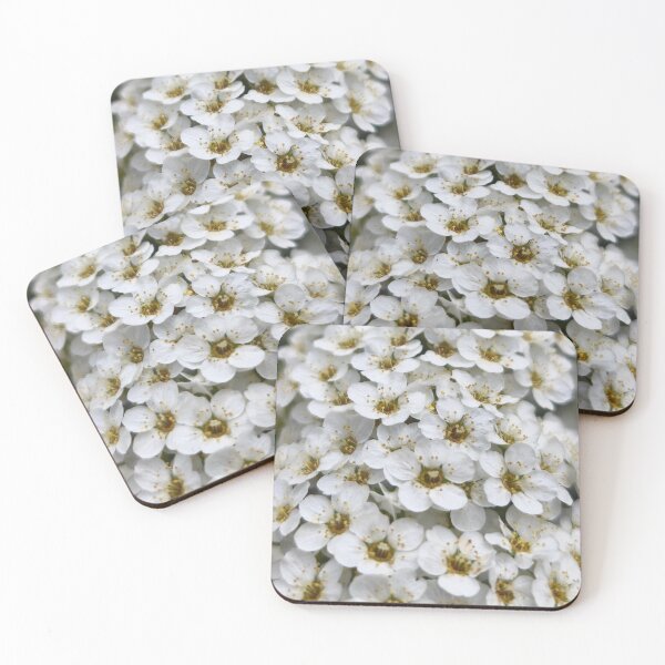 Item preview, White Meadowsweet Spiraea Botanical Floral Photography designed and sold by Kainicram.