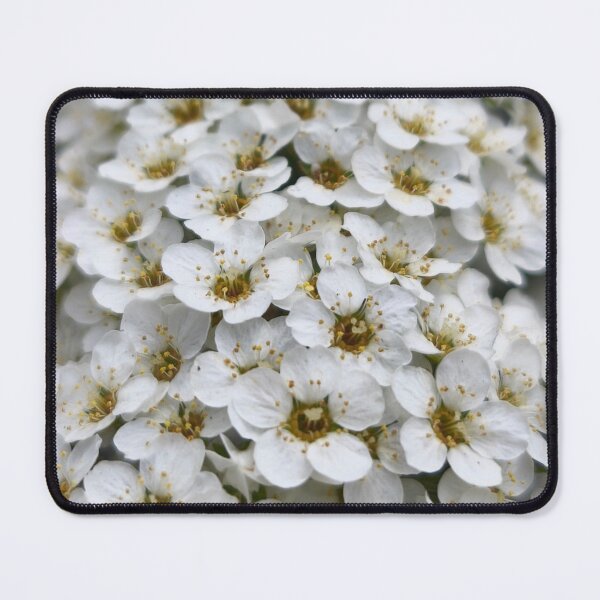 Item preview, White Meadowsweet Spiraea Botanical Floral Photography designed and sold by Kainicram.
