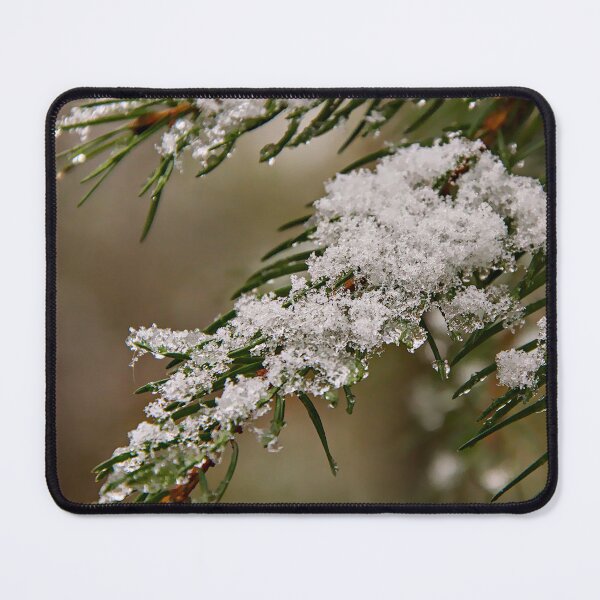 Item preview, Winter Whispers: Snow-Dusted Spruce designed and sold by ShotsbyDesiree.