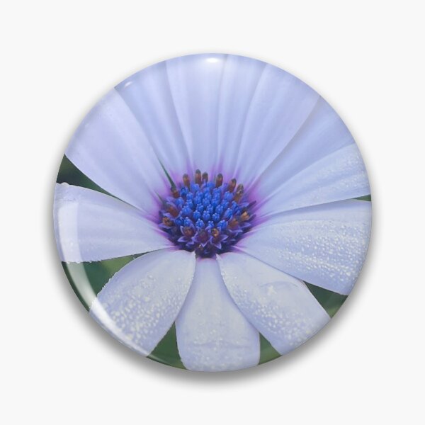 Item preview, White Daisy Flower with Dew Drops in Soft Morning Light designed and sold by Be Captured by Brittany Emma.