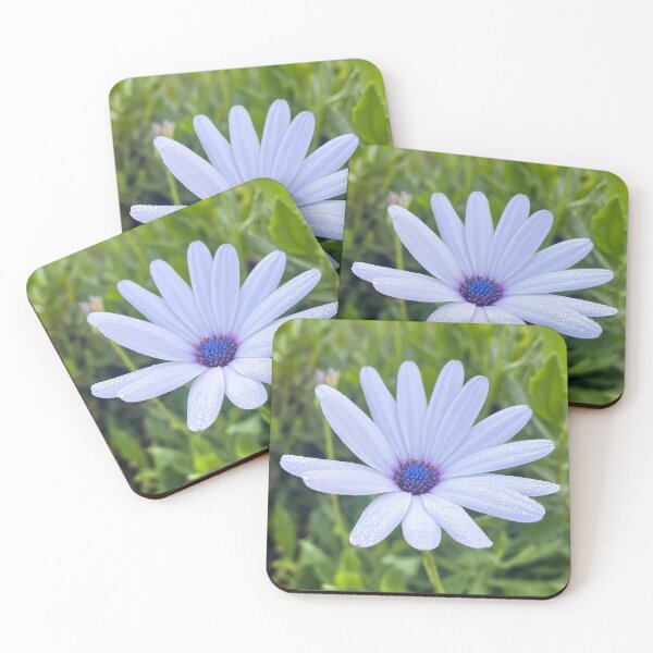 Item preview, White Daisy Flower with Dew Drops in Soft Morning Light designed and sold by Be Captured by Brittany Emma.