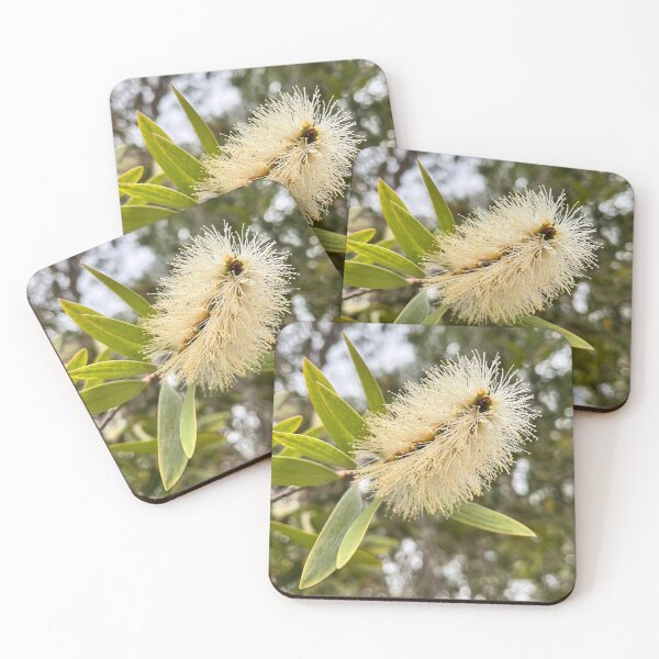 Item preview, Cream Bottlebrush Flower in Soft Natural Light designed and sold by Be Captured by Brittany Emma.