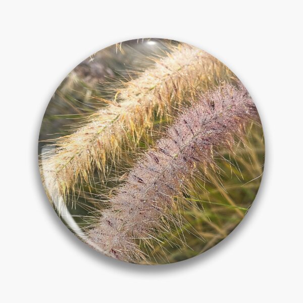 Item preview, Foxtail Grass in Golden Morning Light with Dew designed and sold by Be Captured by Brittany Emma.