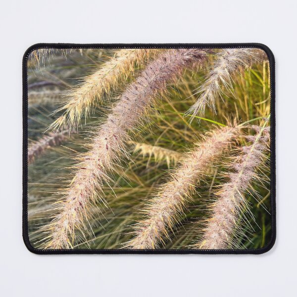 Item preview, Foxtail Grass in Golden Morning Light with Dew designed and sold by Be Captured by Brittany Emma.