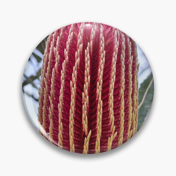 Item preview, Red Banksia Flower Close-Up with Rich Texture designed and sold by Be Captured by Brittany Emma.