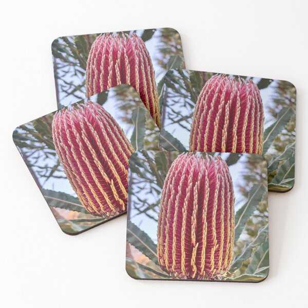 Item preview, Red Banksia Flower Close-Up with Rich Texture designed and sold by Be Captured by Brittany Emma.