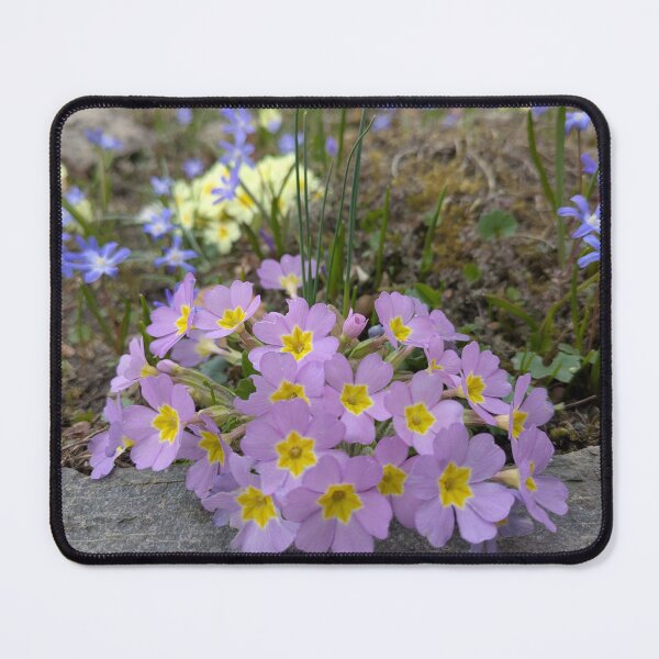 Item preview, Plant mix designed and sold by MonStile.