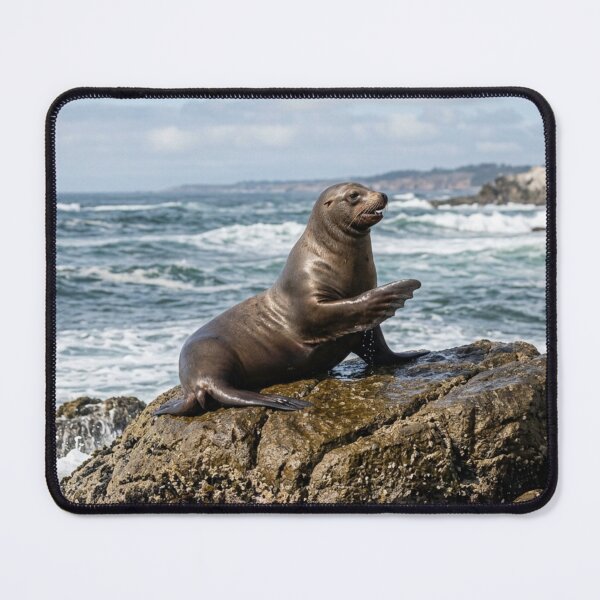 Item preview, Sea lion on its rock. designed and sold by Malisa345.
