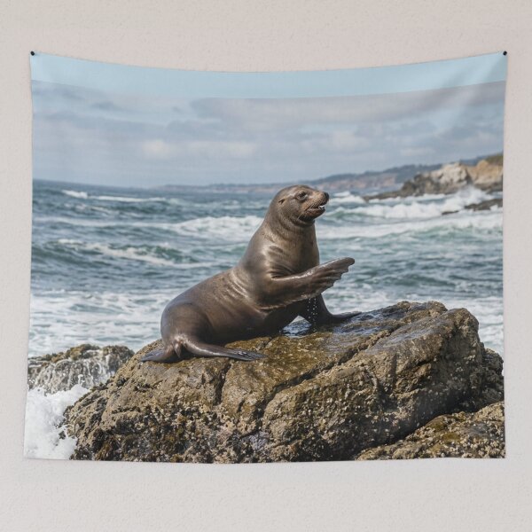 Item preview, Sea lion on its rock. designed and sold by Malisa345.