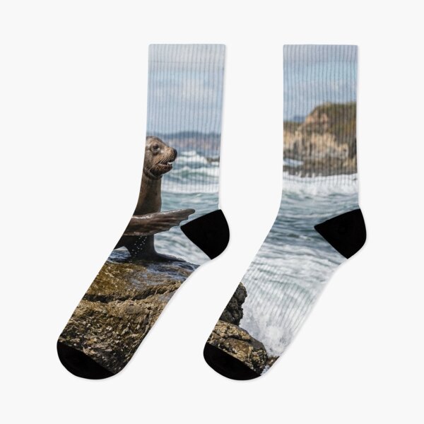 Item preview, Sea lion on its rock. designed and sold by Malisa345.