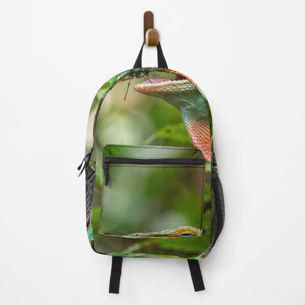 Item preview, Anole catching an insect. designed and sold by Malisa345.