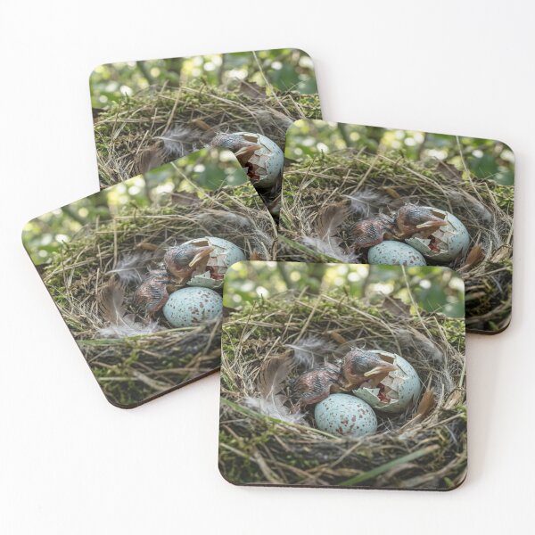 Item preview, Hatching of a bird's egg in its natural nest. designed and sold by Malisa345.