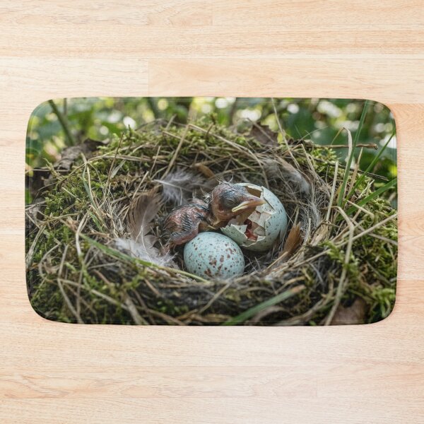 Item preview, Hatching of a bird's egg in its natural nest. designed and sold by Malisa345.