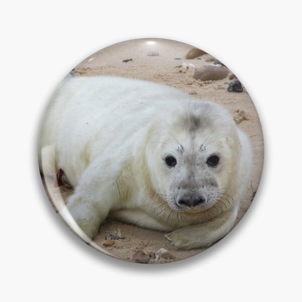 Item preview, Baby Seal designed and sold by cmm1234.