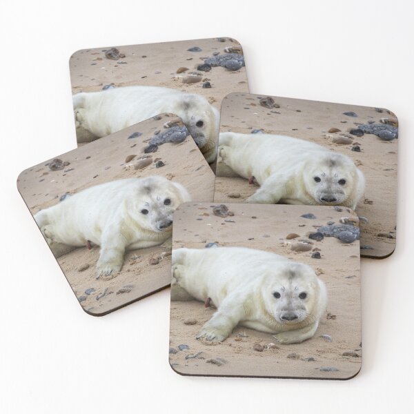 Item preview, Baby Seal designed and sold by cmm1234.
