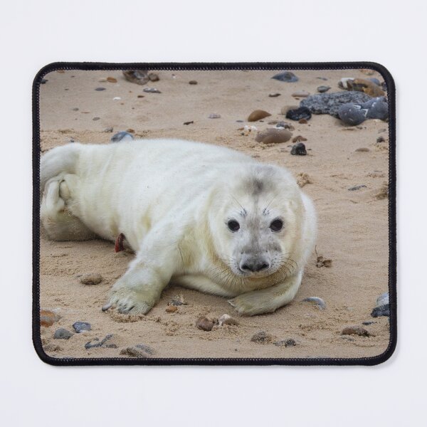 Item preview, Baby Seal designed and sold by cmm1234.