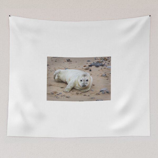 Item preview, Baby Seal designed and sold by cmm1234.
