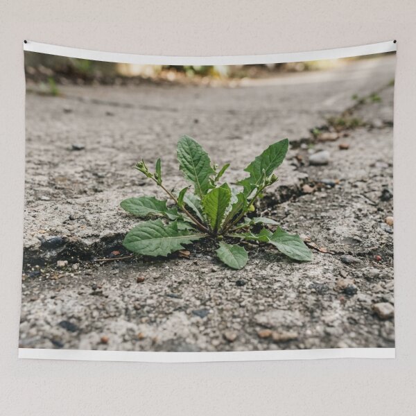 Item preview, Plant growing in a crack in concrete. designed and sold by Malisa345.