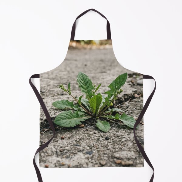 Item preview, Plant growing in a crack in concrete. designed and sold by Malisa345.