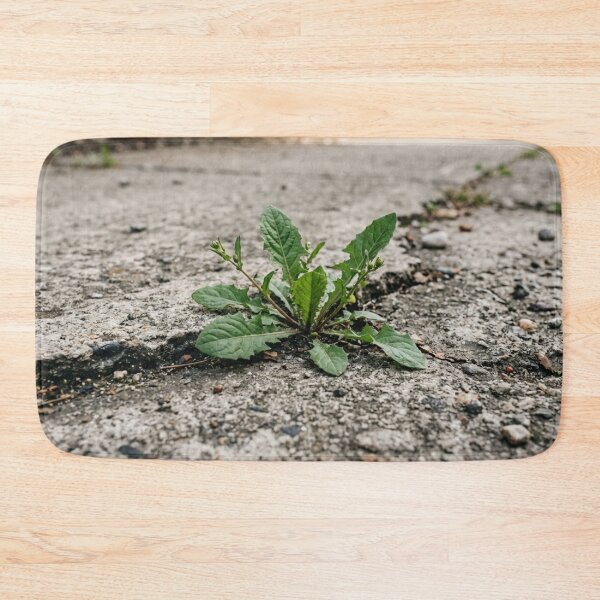 Item preview, Plant growing in a crack in concrete. designed and sold by Malisa345.