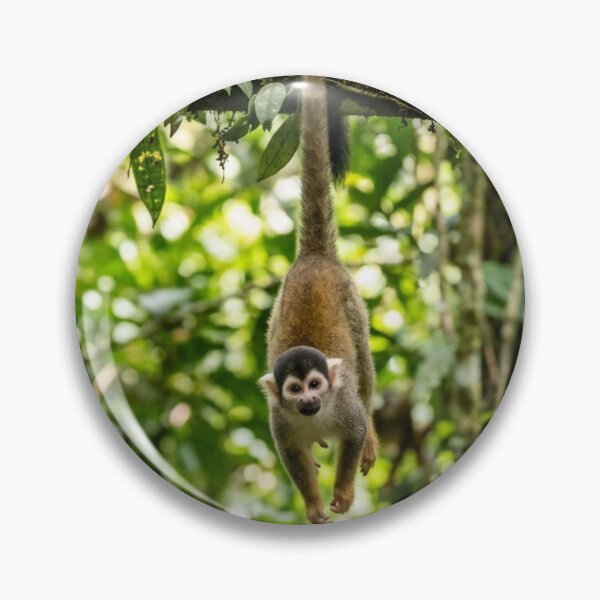 Item preview, A small monkey hanging from a tree. designed and sold by Malisa345.