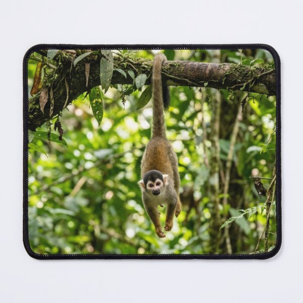 Item preview, A small monkey hanging from a tree. designed and sold by Malisa345.