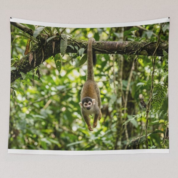 Item preview, A small monkey hanging from a tree. designed and sold by Malisa345.