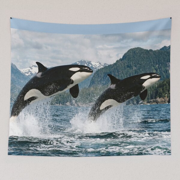 Item preview, Two orcas leaping out of the water. designed and sold by Malisa345.
