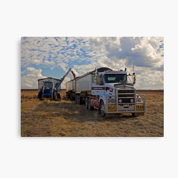 Loading the Grain Canvas Print