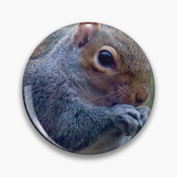 Item preview, Squirrel nuts tucking in to food  designed and sold by Ribster13.