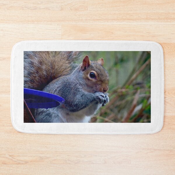 Item preview, Squirrel nuts tucking in to food  designed and sold by Ribster13.