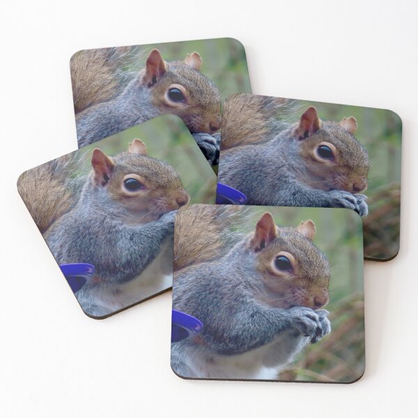 Item preview, Squirrel nuts tucking in to food  designed and sold by Ribster13.