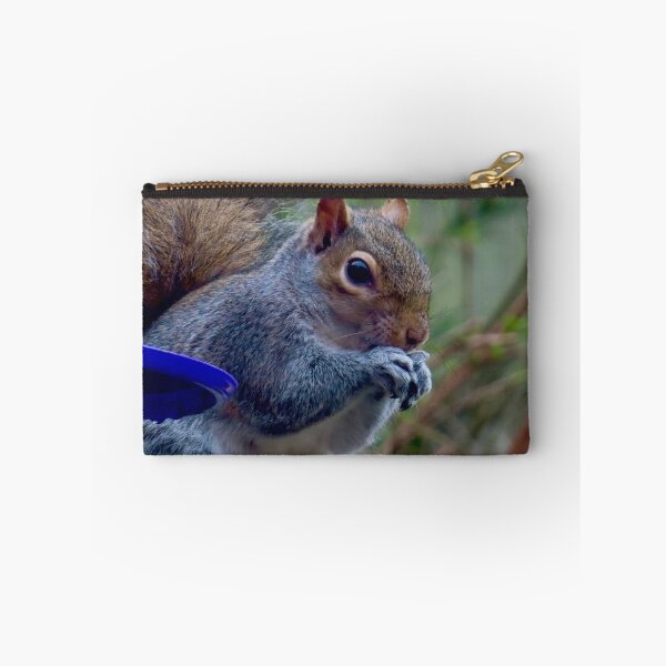 Item preview, Squirrel nuts tucking in to food  designed and sold by Ribster13.