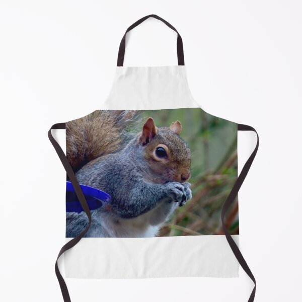 Item preview, Squirrel nuts tucking in to food  designed and sold by Ribster13.