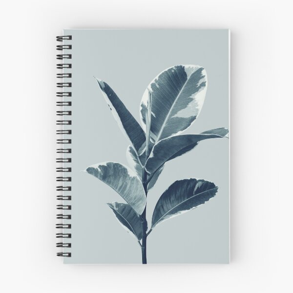 Item preview, Ficus Elastica Finesse #1 #tropical #foliage #decor #art  designed and sold by Anita's & Bella's Art.