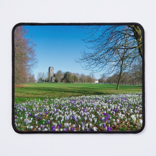 Item preview, The Stray Harrogate designed and sold by Alisonchambers2.