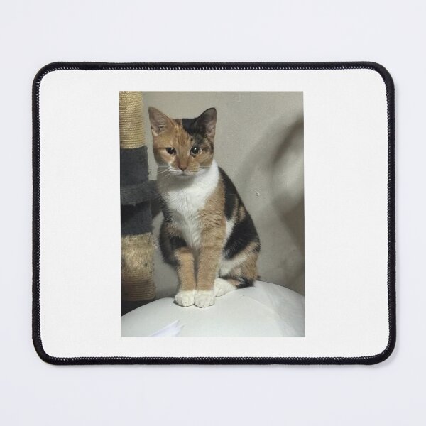Item preview, Tiger designed and sold by ChrissyBH101.