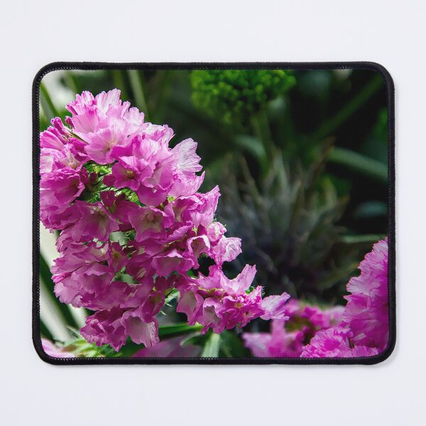 Item preview, Vibrant Pink Statice designed and sold by ShotsbyDesiree.