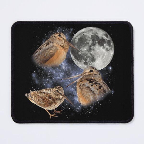 Aperçu de l'œuvre Bécasse d'Amérique Oiseau dans l'espace Galaxie Lune Timberdoodle Faune Nature Art créée et vendue par Chaya Reid.