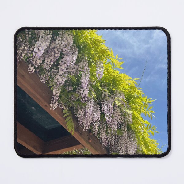 Item preview, Wisteria phone photo designed and sold by dhaydream.