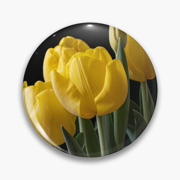Item preview, Potted Tulips designed and sold by Gerda Grice Photography.