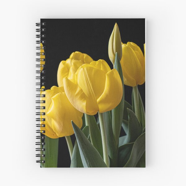 Item preview, Potted Tulips designed and sold by Gerda Grice Photography.